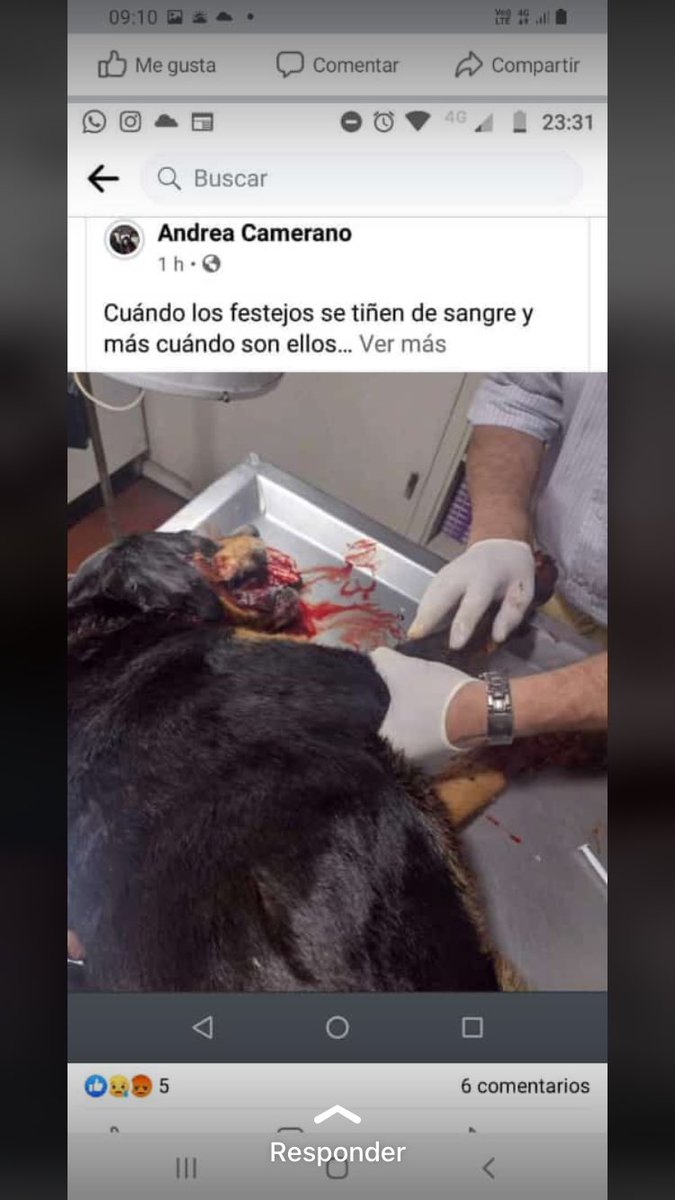 Juntos a todos lados.
Ayer con la llegada de river a Junin.
Una bomba de estruendo le explotó en la cara a ella.
Hoy su hermano la busca por todos lados.
JUSTICIA POR ELLOS.