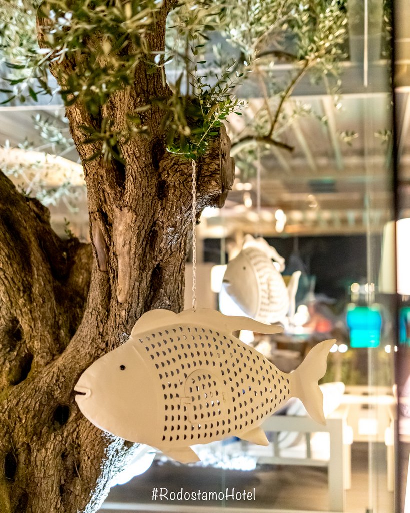 rodostamohotel's tweet photo. If you see flying fish you know you are in #RodostamoHotel
#hotel #decor #decoration #newhotel #luxuryhotel #5starhotel #corfu #corfuisland #destination #dream #greece #travel #hotellife https://t.co/2WbCAsnbXD