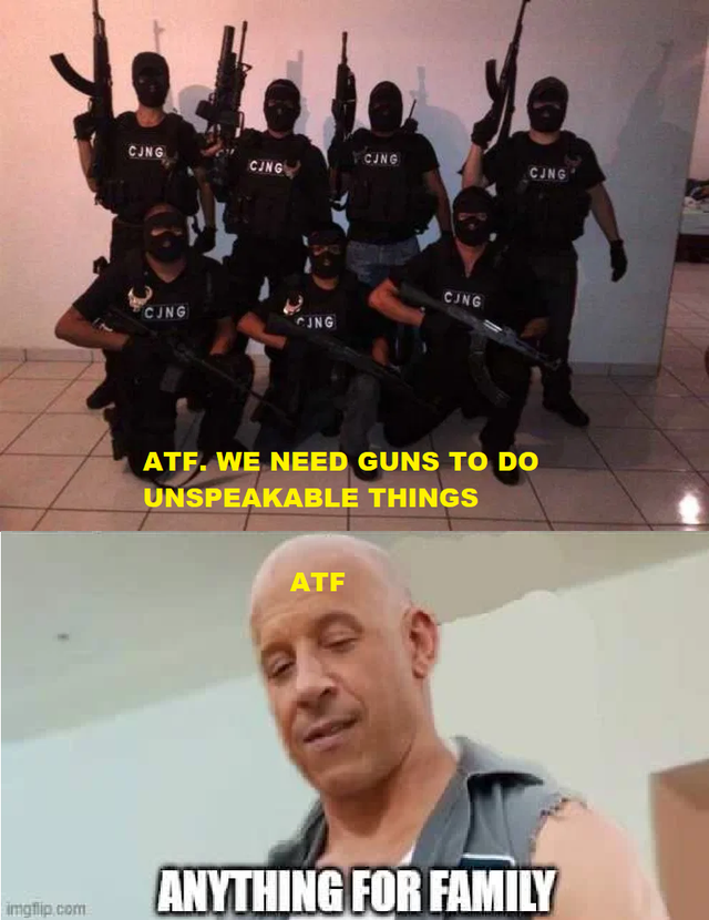 AR15COM's tweet image. It&apos;s not a bug. It&apos;s a feature.

#arfcom #fandf #family