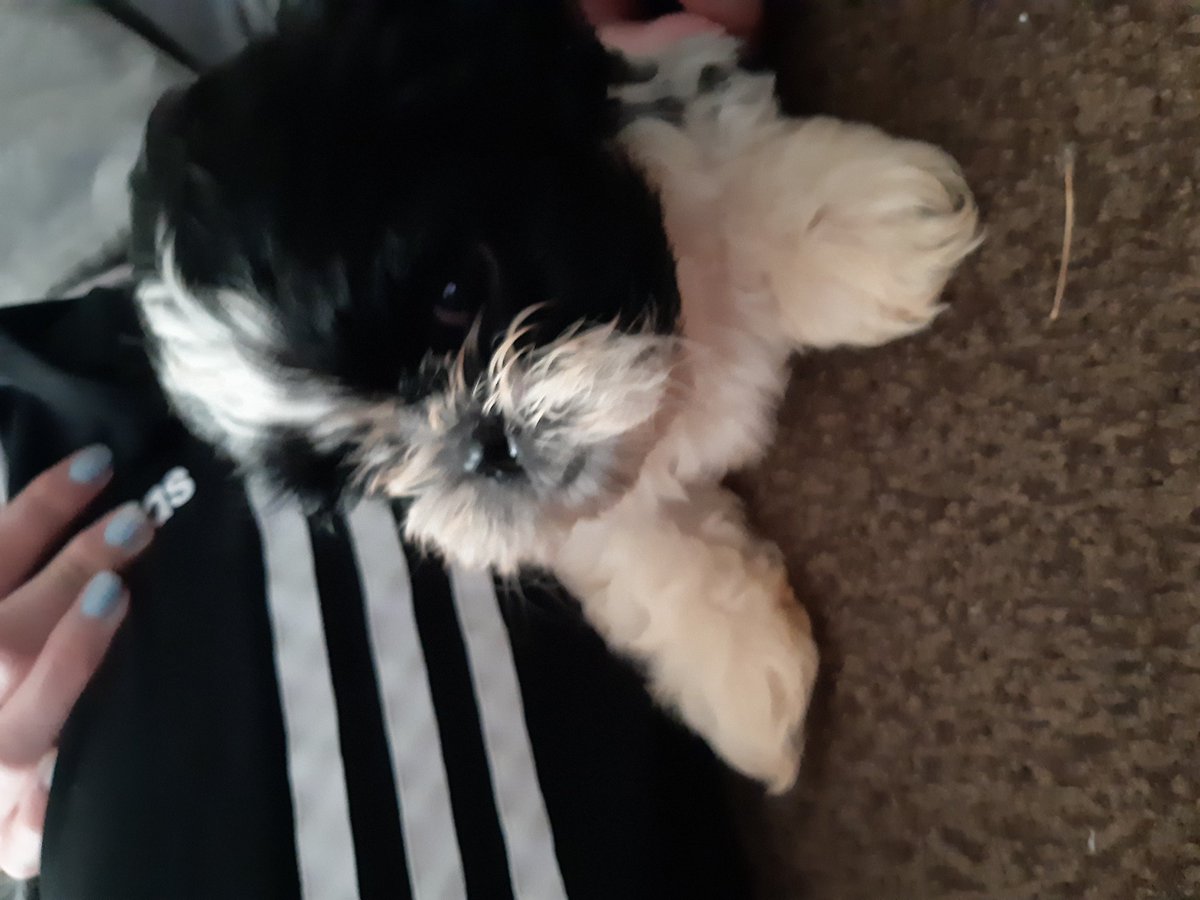 Emily Aldred tweet media