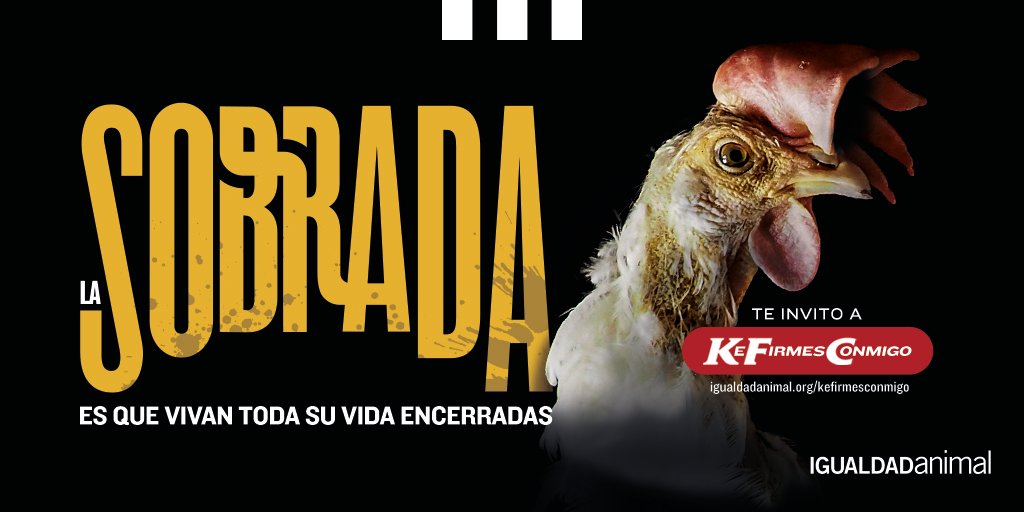 IgualdadAnimal's tweet photo. ¡Ya somos más de 7000 personas pidiendo a KFC que se comprometa públicamente a no utilizar huevos procedentes de gallinas enjauladas!
¿Te unes?>> https://t.co/IWUL3qmQLv
#TeInvitoAKFC https://t.co/W5vcTCezVV