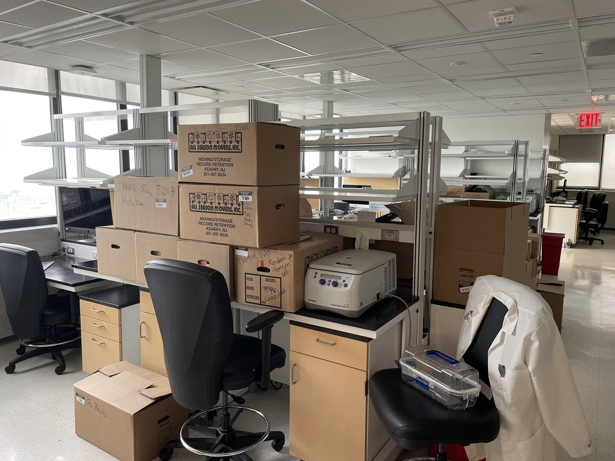 Benjamin tenOever on Twitter "The tenOever lab begins the great