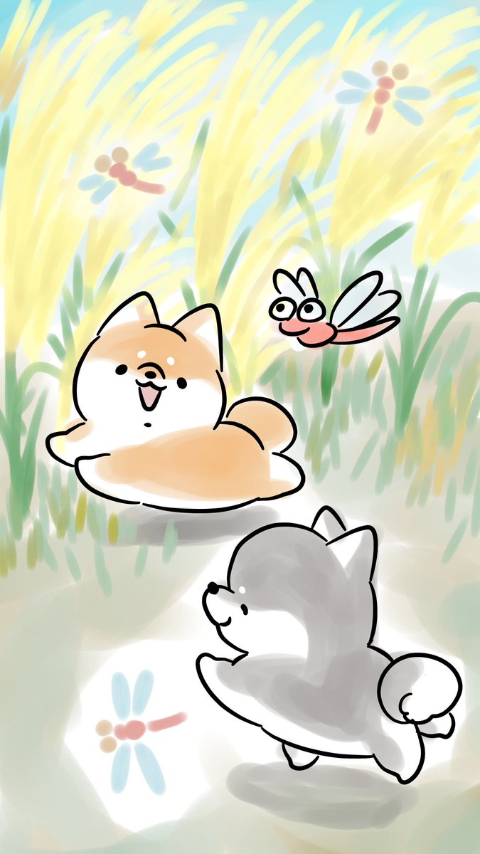 ほんわかしばいぬ Honwakashibainu Twitter ほんわかしばいぬ Honwakashibainu Twitter