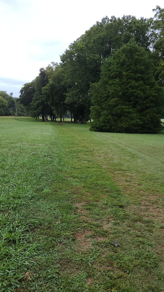 Meet week! Belmont Opener at Vaughn's Gap XC course! Women at 5, men at 540 on Friday. Come support the team as they face Belmont, Lipscomb, Austin Peay, and others! Oh...and the course is looking solid. <a href="/tnusports/">Trevecca Trojans</a> <a href="/Trevecca/">Trevecca Nazarene University</a>
