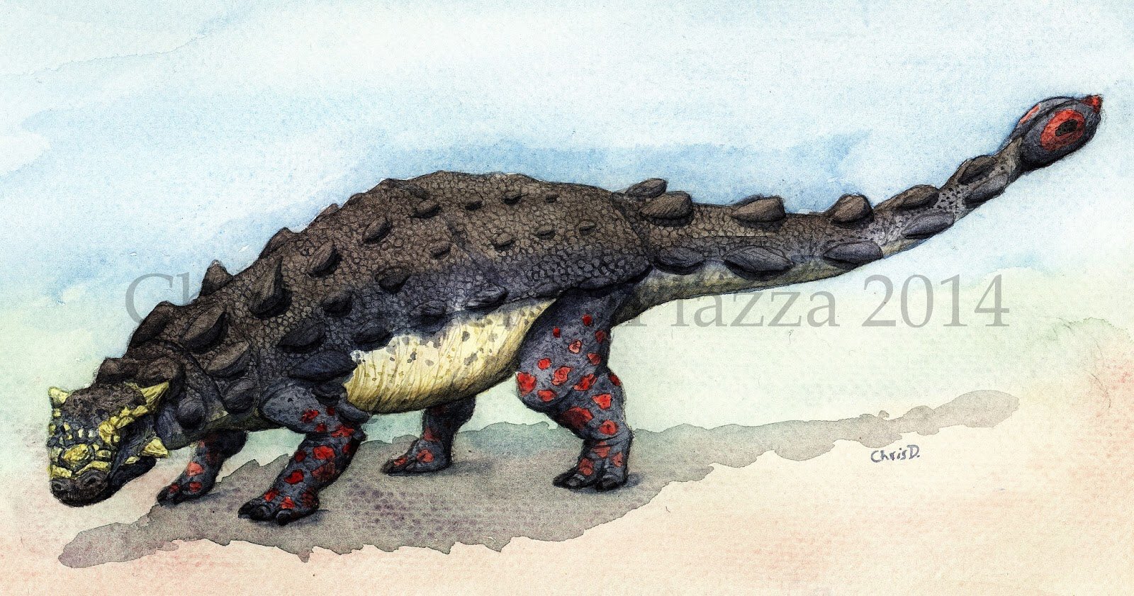 Euoplocephalus Twitter Search Twitter