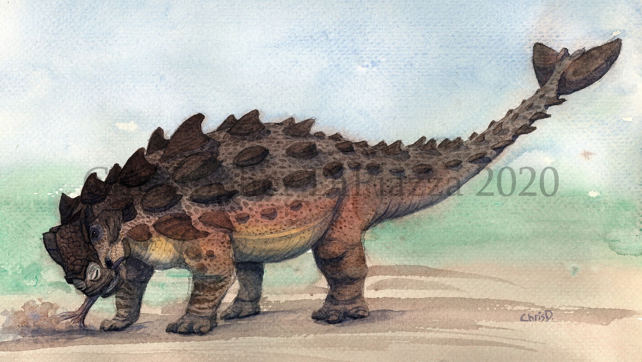 Euoplocephalus Twitter Search Twitter