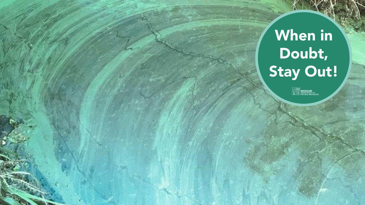 MoDNR's tweet photo. Harmful algal blooms (HABs) have the potential to harm fish and wildlife, domestic animals, livestock, and humans. Learn more on HABs: https://t.co/pnwnCLaJiJ. #Harmfulalgalblooms @MDC_online @HealthyLivingMo @MoAgriculture #WhenInDoubtStayOUt https://t.co/dPTjDXn8Kz