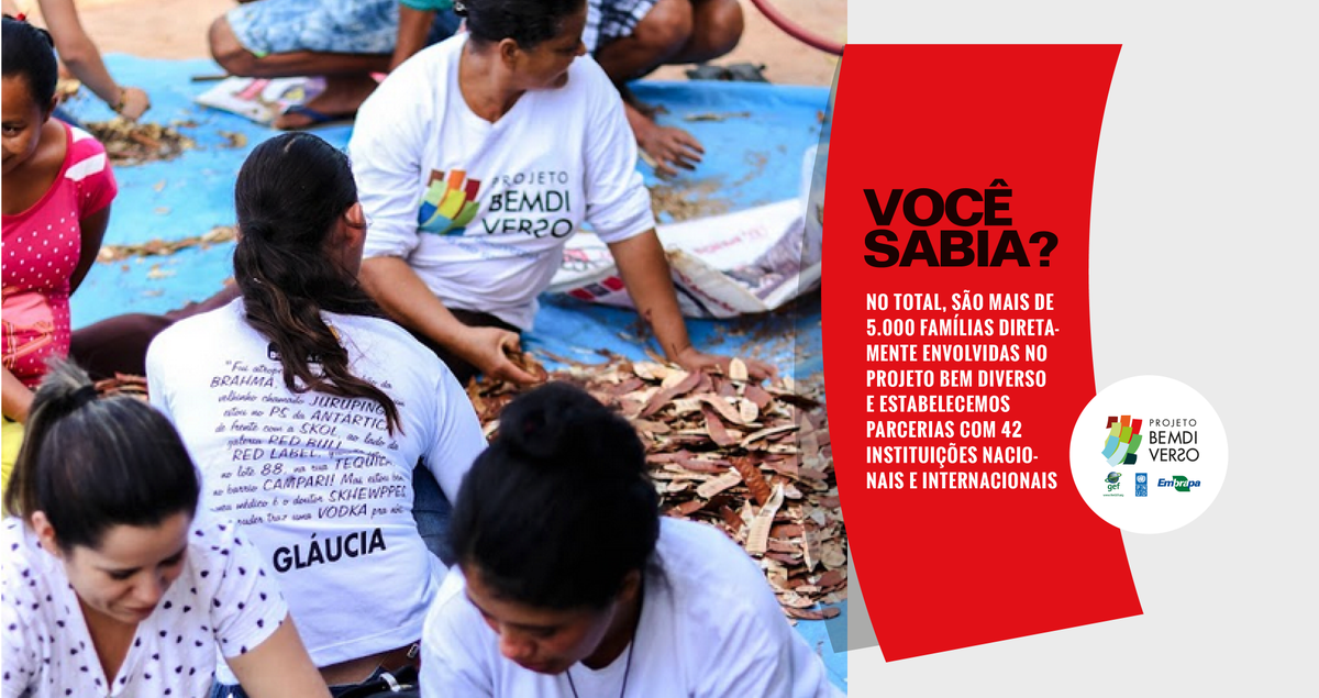 BemDiverso's tweet photo. Trabalhamos com estudantes, professores de Escolas Famílias Agrícolas, Institutos Federais e Universidades, técnicas e técnicos locais e extensionistas de organizações da sociedade civil e de sindicatos de trabalhadores rurais presentes nos diferentes territórios de atuação https://t.co/PVyaTHB8Hi