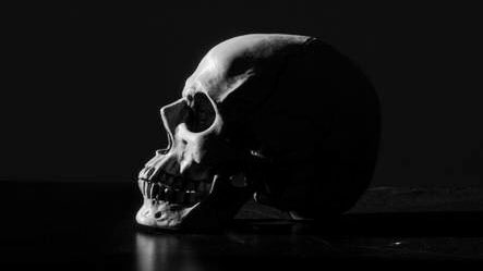 wolf 🐏 tweet media