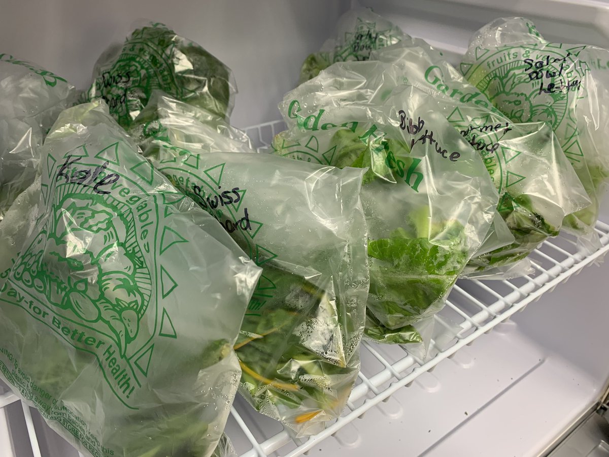 shyratedesco71's tweet photo. Fresh this week at the Ivy Tech Lawrenceburg Food for Thought pantry: carrots, green beans, squash, a variety of basil, peppers, tomatoes and greens, and the nutritious and delicious superfood - sweet potatoes!  Check it out!!! https://t.co/0cJNzkwTIB