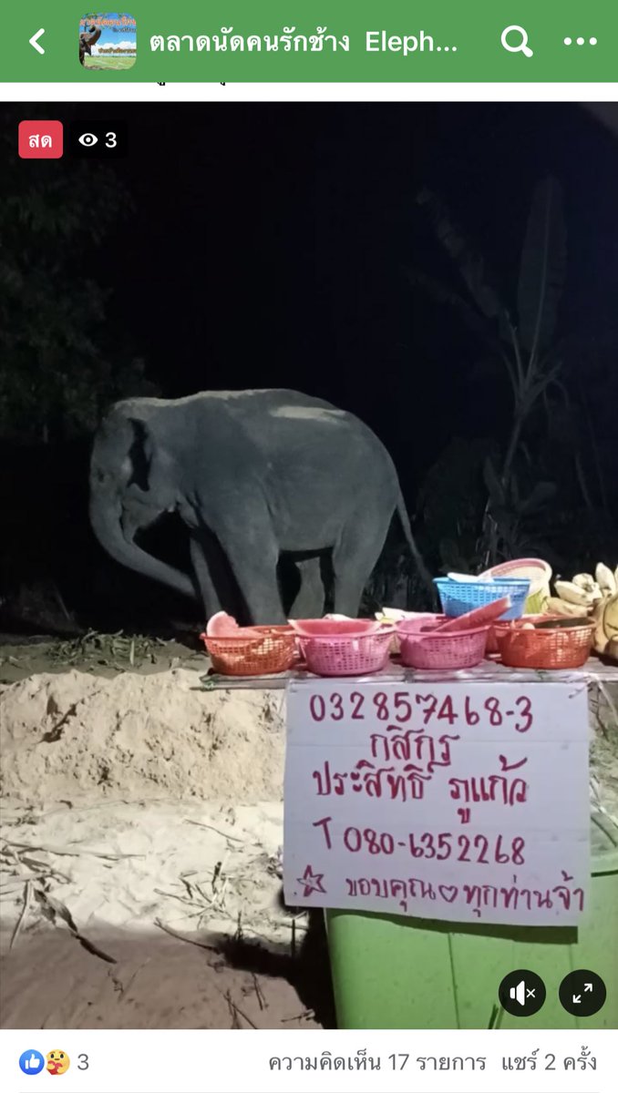 จางออมม่า ||| tweet media
