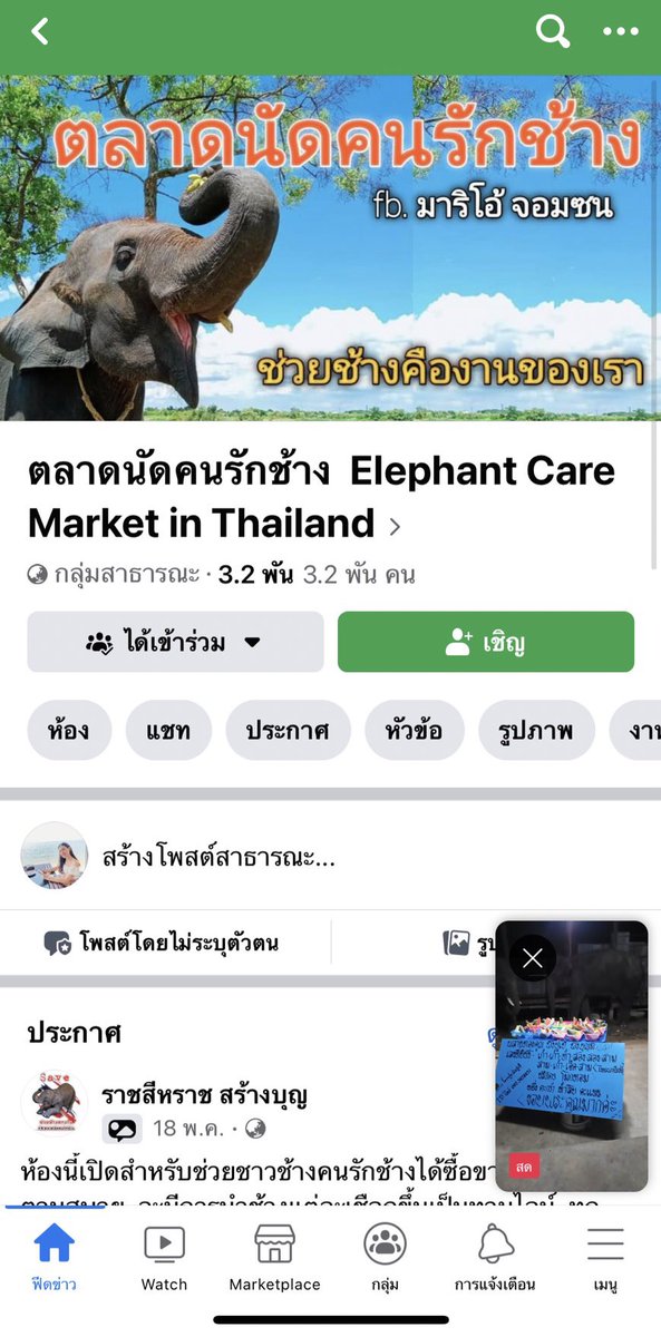 จางออมม่า ||| tweet media