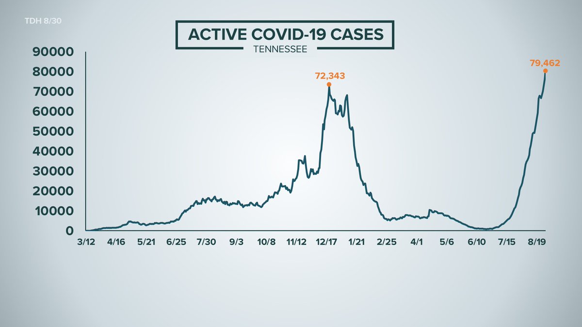 Grace King tweet media