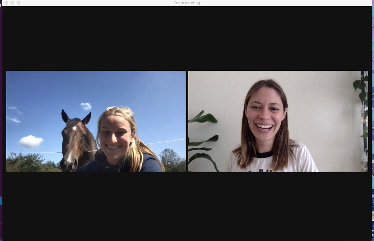 LCHeathcote's tweet photo. Pets are encouraged to join my weekly student Zoom check-ins. Especially exotic ones. 🐴
#remotescience https://t.co/AvFMMXfOFs