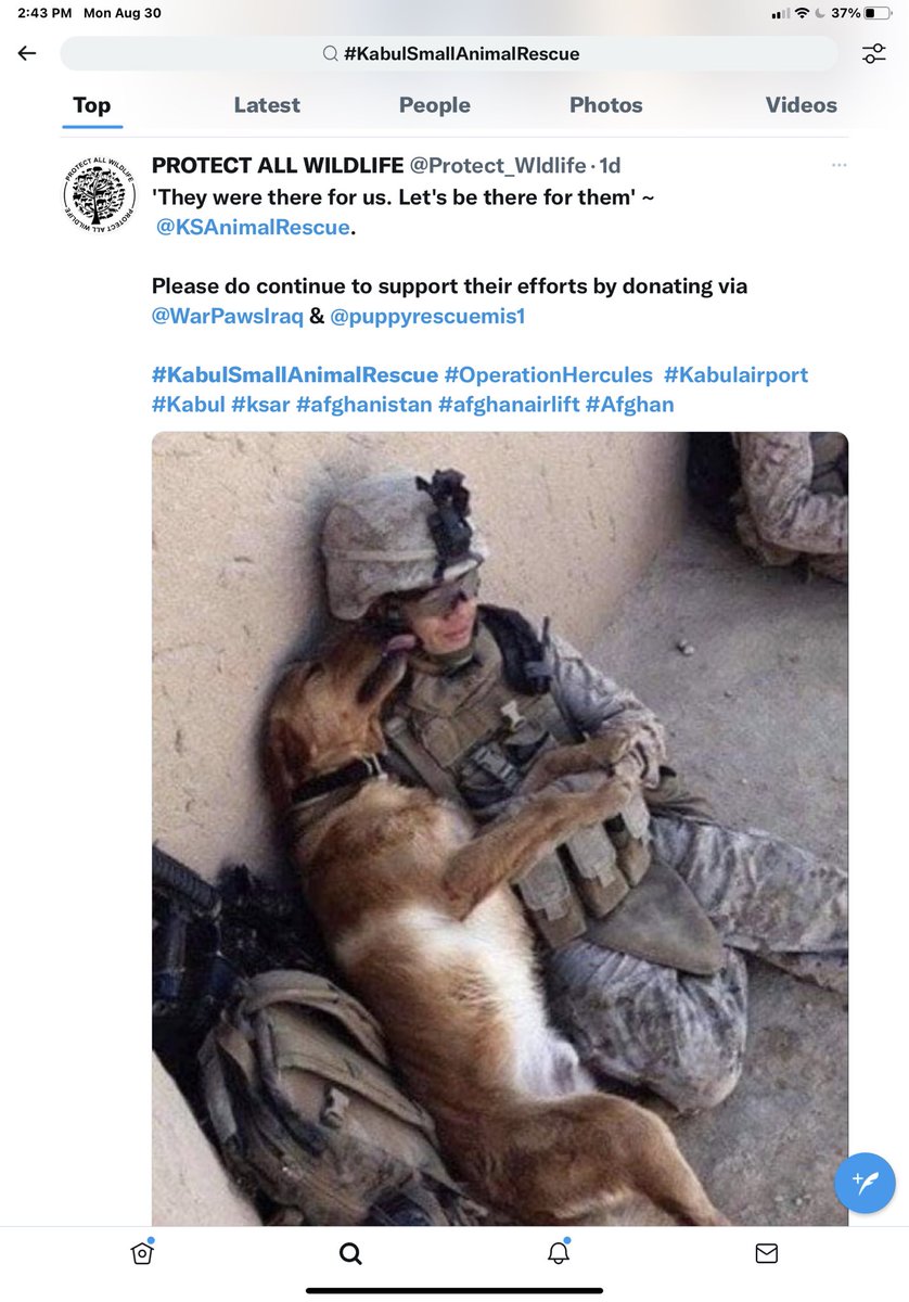greta's tweet photo. Despite best effort…the last flight has gone..leaving behind the dogs (military apparently opened all their crates at the airport and the dogs were not put on the cargo flights..I was told there was a plane chartered )…it isn’t just our human friends we are leaving behind… https://t.co/iN9gLdY5TL