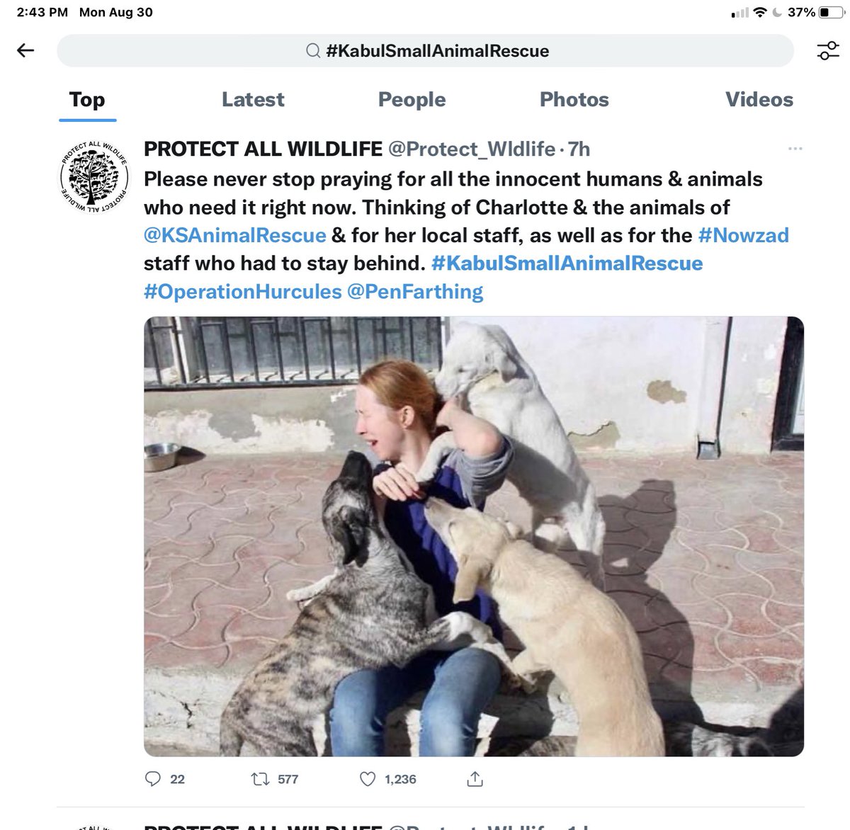 greta's tweet photo. Despite best effort…the last flight has gone..leaving behind the dogs (military apparently opened all their crates at the airport and the dogs were not put on the cargo flights..I was told there was a plane chartered )…it isn’t just our human friends we are leaving behind… https://t.co/iN9gLdY5TL