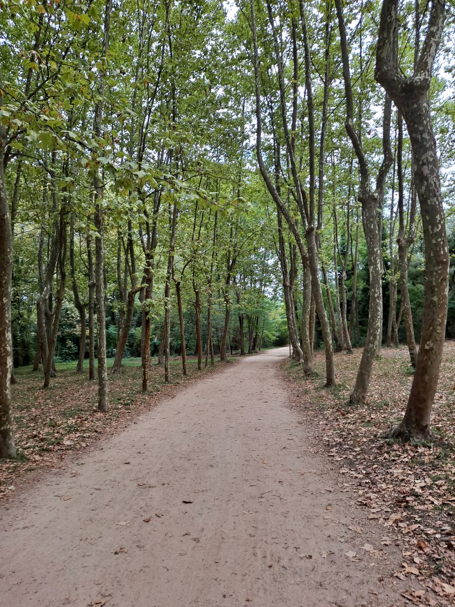 salcarazbcn's tweet photo. Una buena manera de despedirse del verano y la playa, Santa Coloma de Farners. https://t.co/0K90gT6fCo