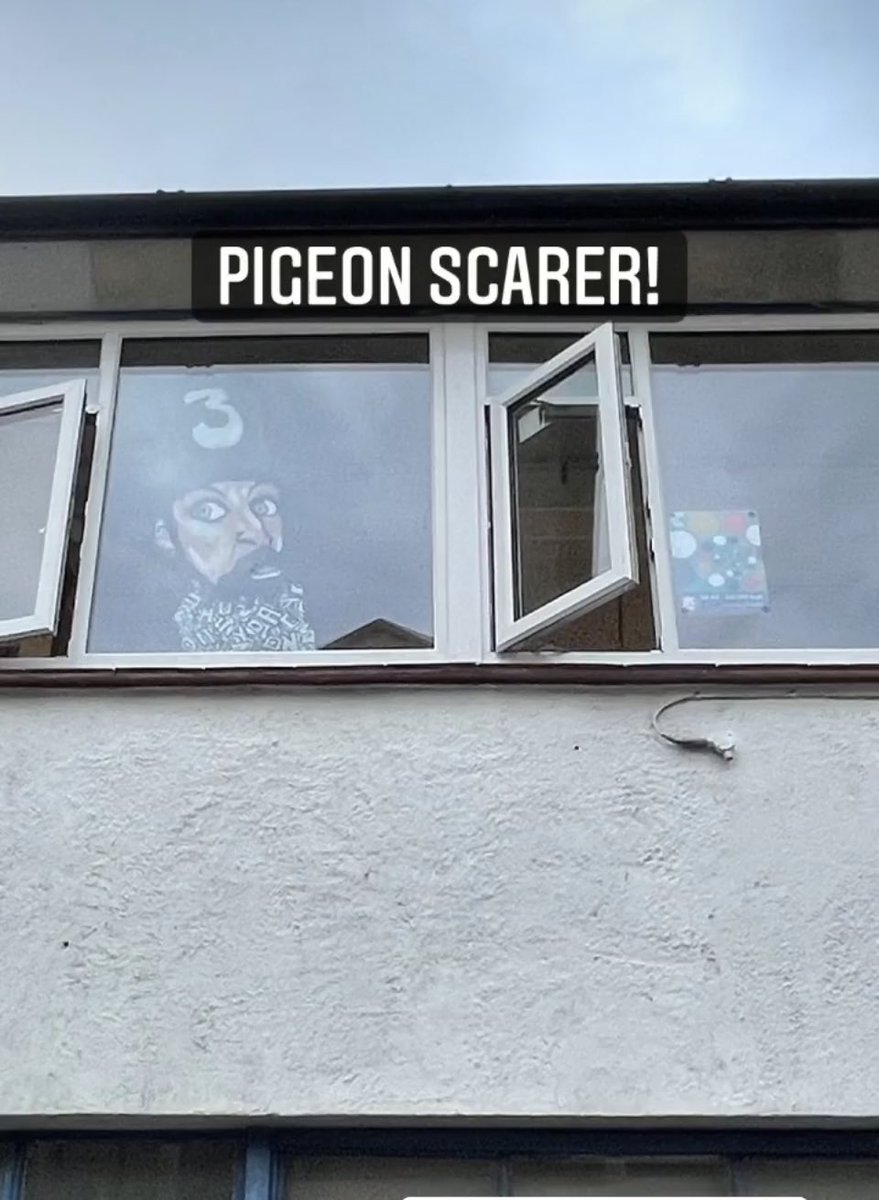 Pigeon scarer 😂