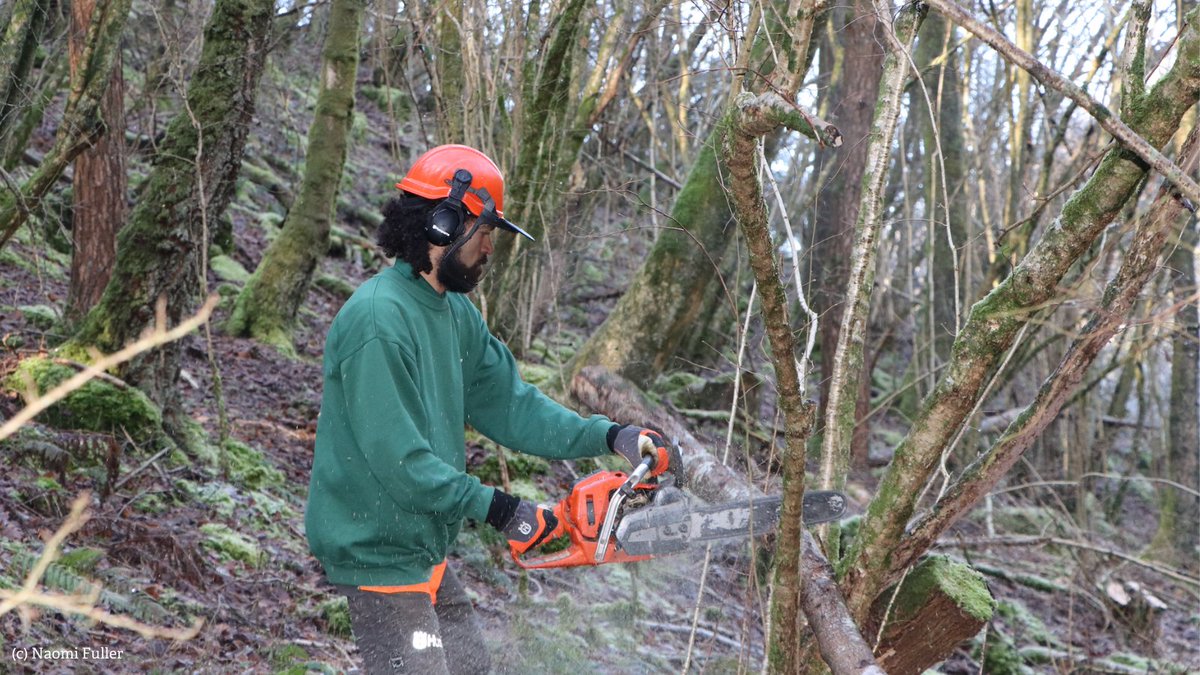 Do you have a passion for restoring wildlife through habitat management and engagement with landowners? We are looking for two enthusiastic Living Landscape Officers - one based in Bath and one in Bristol. Interested? Visit our website to find out more: avonwildlifetrust.org.uk/jobs/living-la…