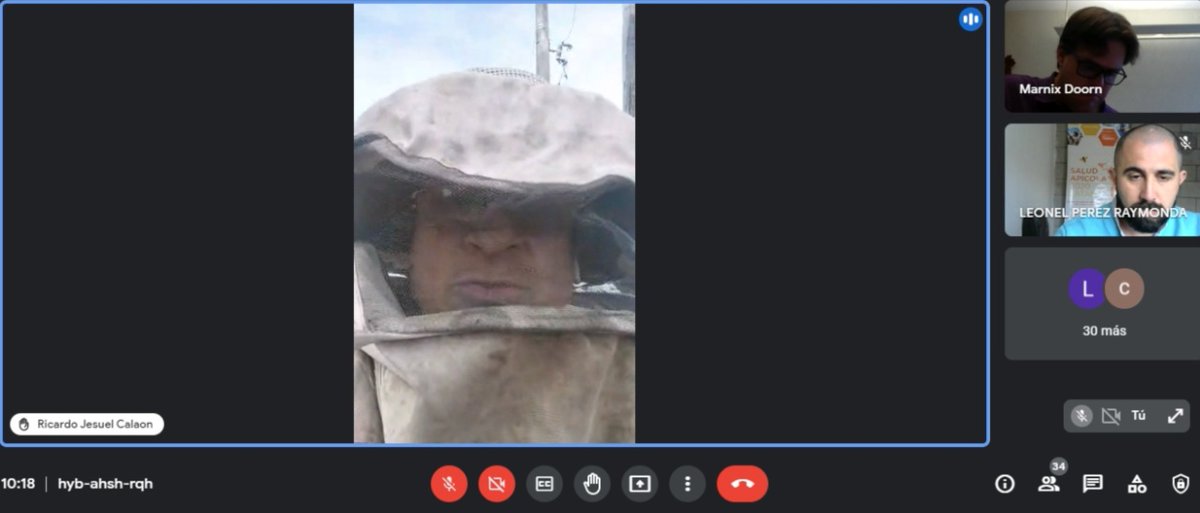 ¡Comenzamos capacitaciones en Argentina! En modo virtual, este sábado iniciamos junto a <a href="/UNRoficial/">UNR</a> el ciclo de 5 sesiones para entregar a apicultores de la provincia de Santa Fe conceptos teóricos sobre salud apícola e intercambiar experiencias. ¡Gracias a todos por participar!