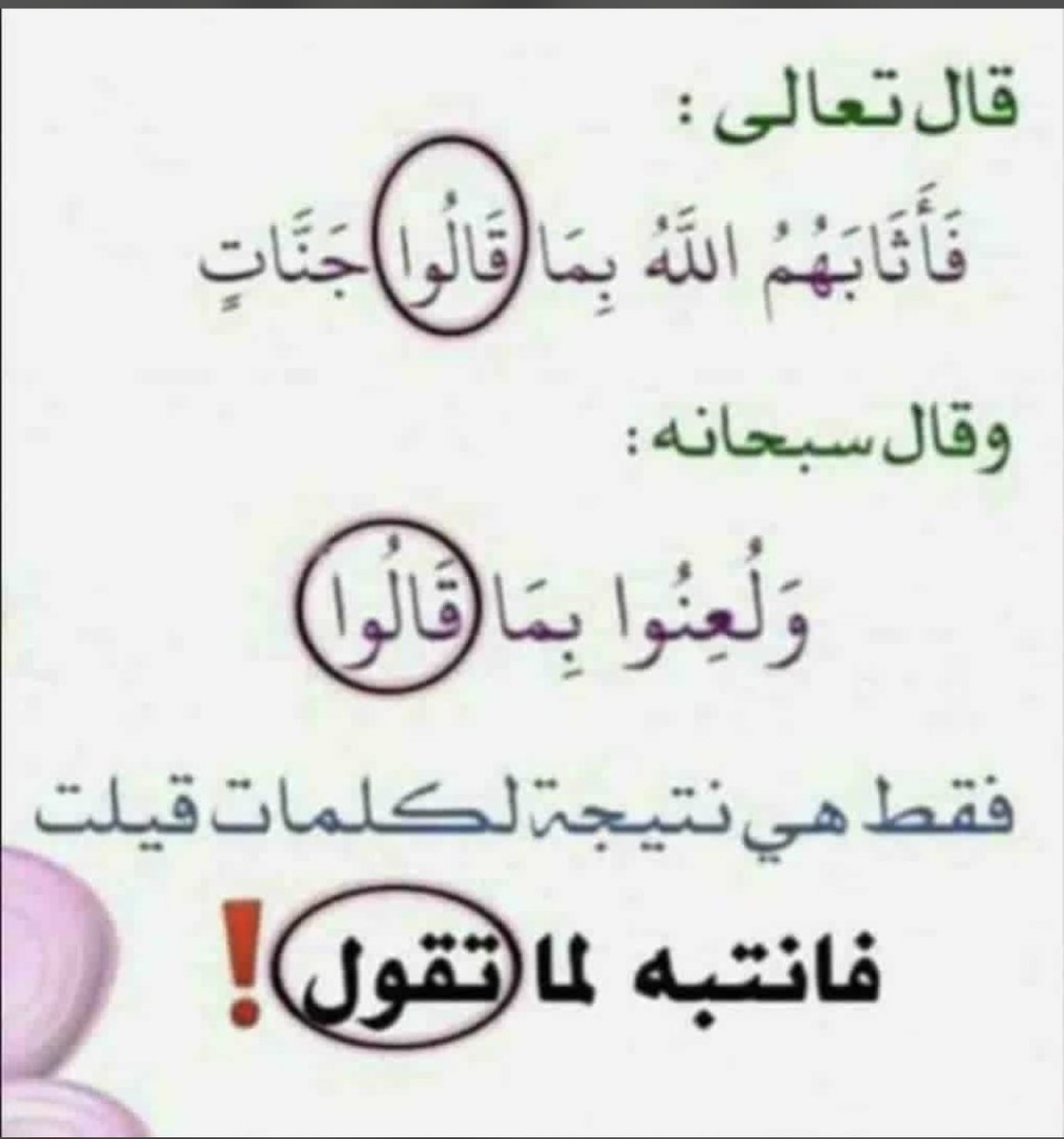 فائدة 📚 tweet media