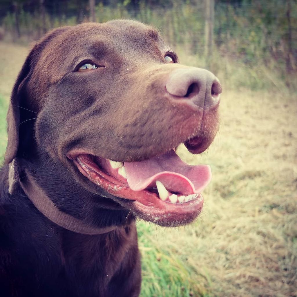 Berti_and_Ernie's tweet photo. Hello, here is a little smile for you, to cheer you up!  Share my smile with a friend to encourage her (or him) 😄! https://t.co/YRytfYb6Cv