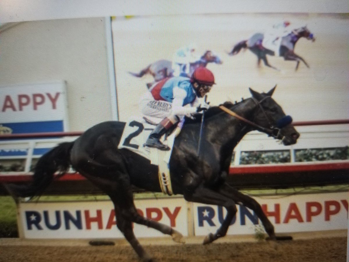 BarnLoves's tweet photo. I love when the haters keep knocking Medina Spirt for a slow final half!! Do you guys no what it looks like when a horse wins easy!!
This is what it looks like. #earspricked https://t.co/sUu3HBu68a