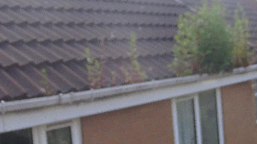 GutterProSophie's tweet image. We recommend getting your gutters cleaned AT LEAST once a year.

This customer MAY have left it a little bit longer 😊

Any longer than this and they&apos;d have needed a tree surgeon, not a gutter clear 😊

#guttercleaning #gutterpro