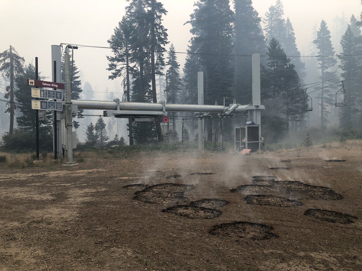 Mike TeSelle tweet media