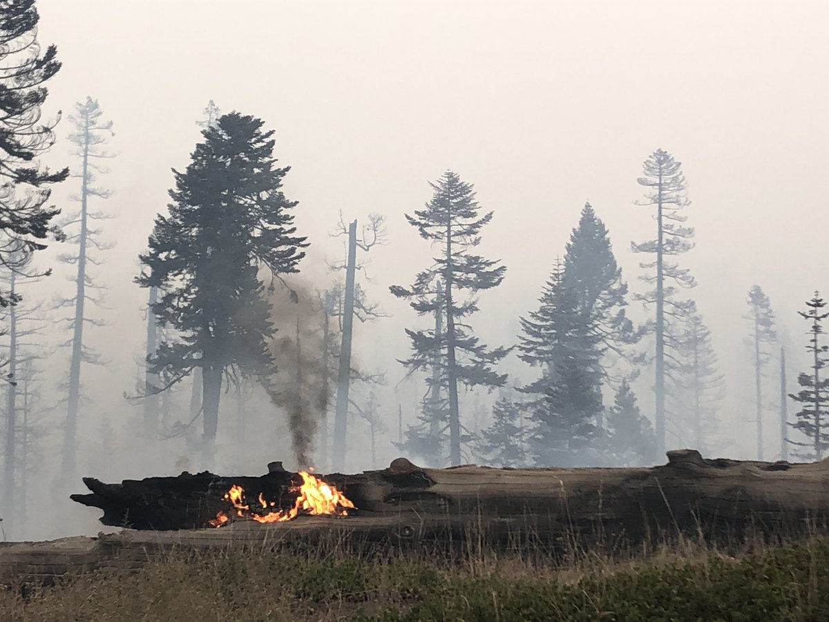 Mike TeSelle tweet media