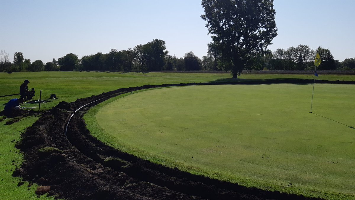 Scotswood Links tweet media