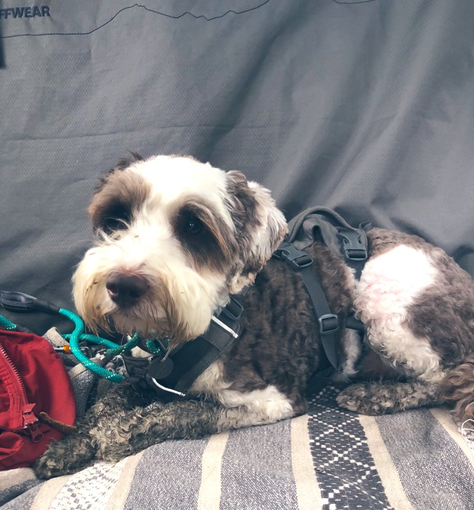 I honestly don’t think I I need a baff - all this sticky mud will probably just sruff off on the bed surely?