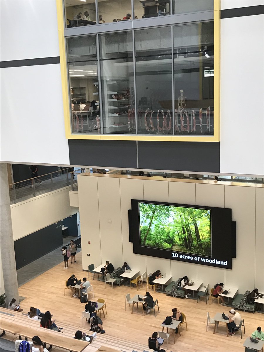 David Vanko (@davidavanko) on Twitter photo The New Science Complex <a href="/TowsonU/">Towson University</a> is alive on the first day of Fall 2021 semester. Finally, we’re back!!! The New Science Complex <a href="/TowsonU/">Towson University</a> is alive on the first day of Fall 2021 semester. Finally, we’re back!!!
