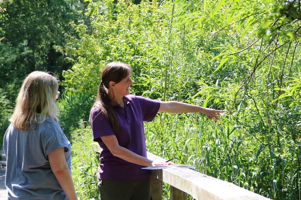 AutismeNVA's tweet image. Zaterdag gaan we met een gids wandelen in de Oostvaardersplassen. En het wordt mooi weer! Er is nog plek, kom je ook? Meld je nu aan voor deze gratis Auti-Doe-Dag!
#AutiDoeDagen #Autisme #NVA 
autisme.nl/2021/07/21/ont…