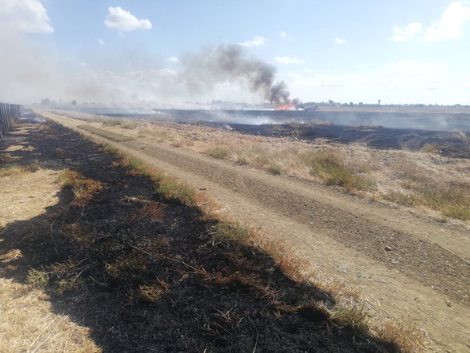 Incendi alle Saline di Trapani