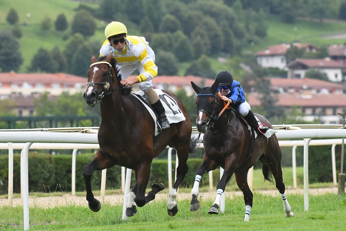 🇪🇸🇫🇷Riocorvo (Pastorius), preparado por <a href="/Remolina_A/">Alberto Remolina</a>, disputará el 16 de septiembre el Grand Prix de Mont de Marsan.