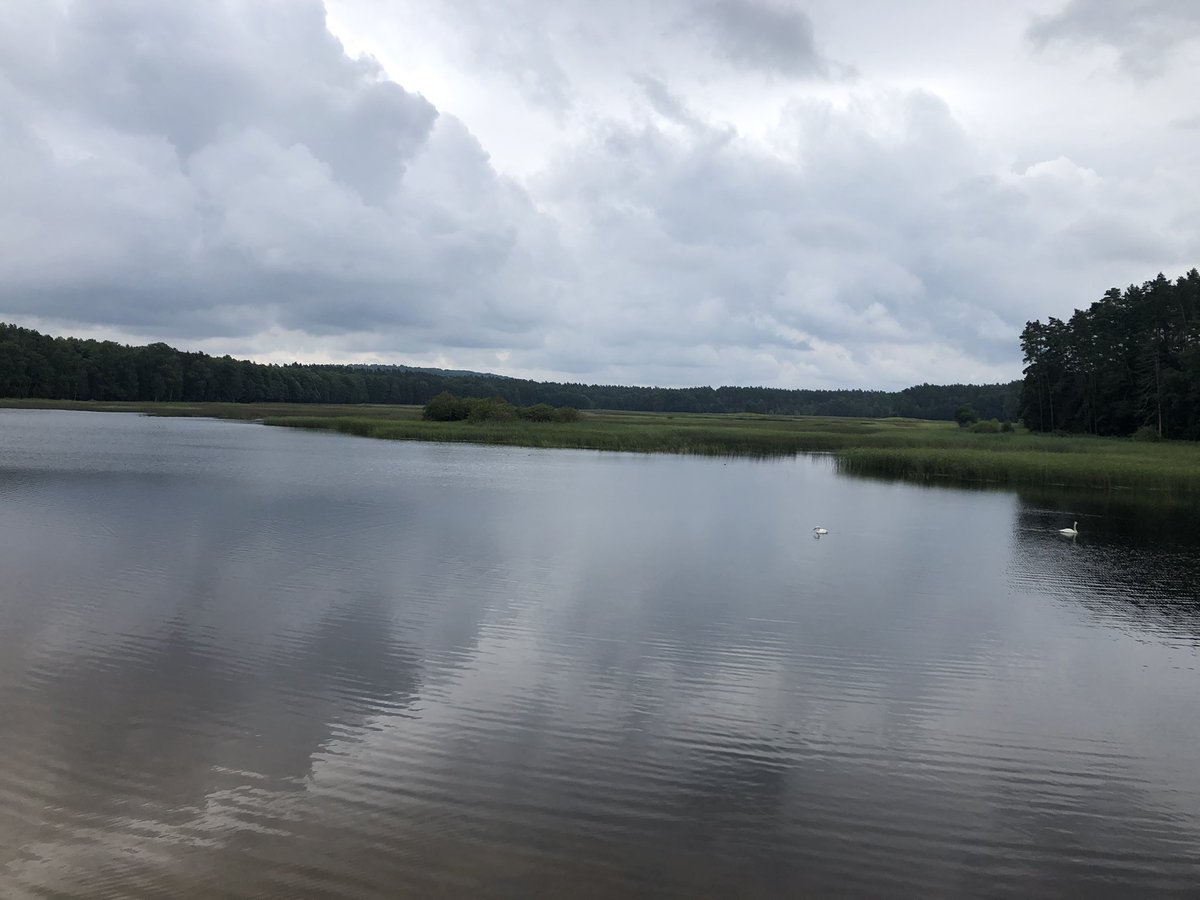 PilnyDamian's tweet photo. Roztocze jest piękne. #roztocze,#Polska https://t.co/HiGj10urE8