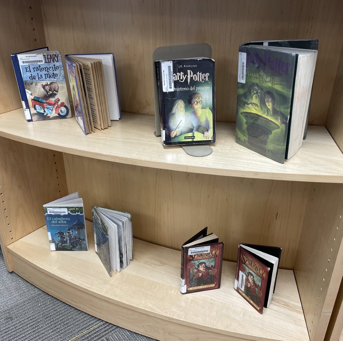 Mrs. Lowe's sixth graders helped create our latest library display: books in our library with copies in Spanish AND English! We can practice our language skills and partner read with each other. We are so fortunate to have so many wonderful books in our School 96 library!