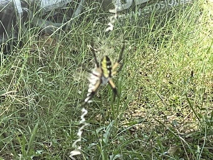 Hey there Lil guy https://t.co/psIvVl3hLp