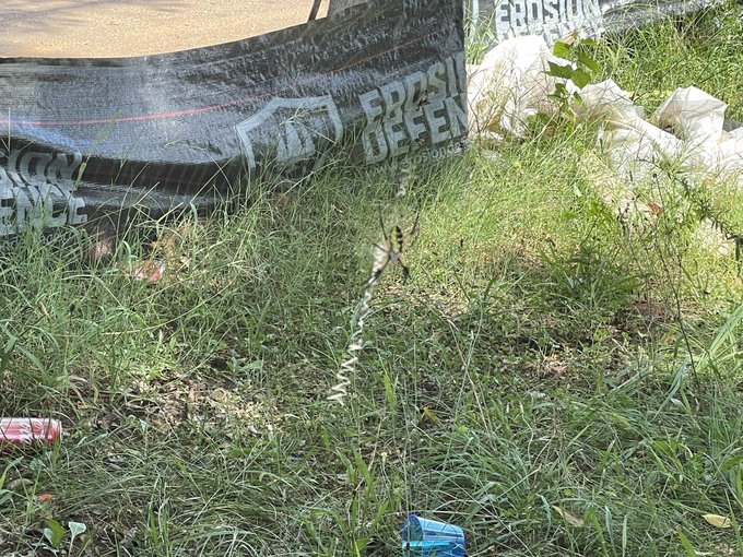 Hey there Lil guy https://t.co/psIvVl3hLp