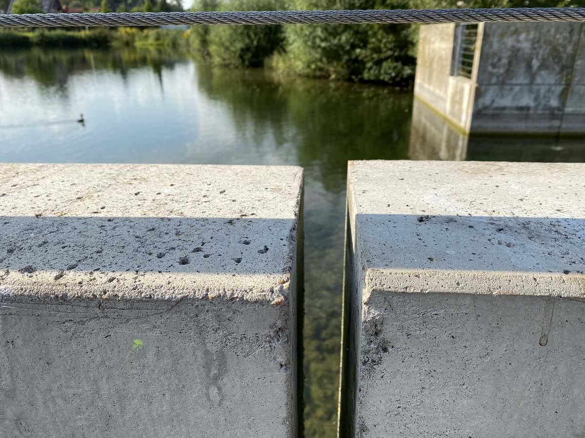 CRASSOWSKIs on Twitter "Hinterland Grenzstreifen Glane Gronau Störche