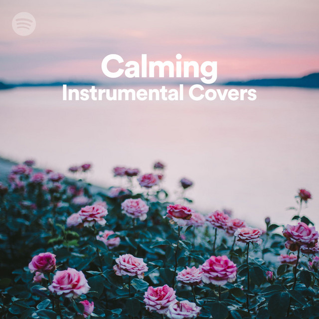 A big thanks to <a href="/Spotify/">Spotify</a> for adding my song to the Calming Instrumental Covers playlist! You can check it out here: smarturl.it/CalmingInstrum…