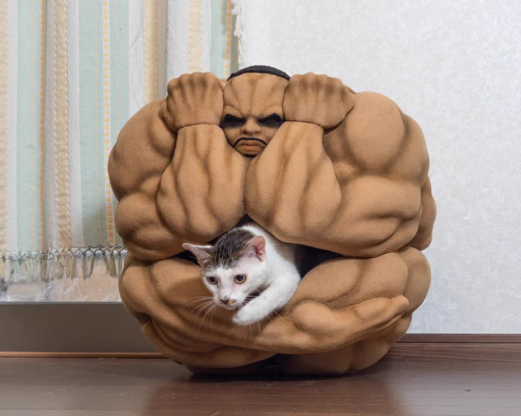 使う猫を選ぶ？ビスケット・オリバの猫かごwww