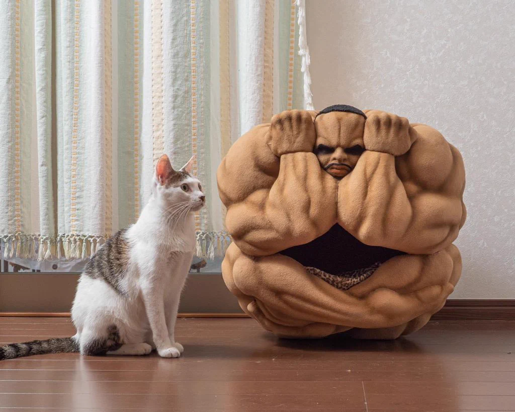 使う猫を選ぶ？ビスケット・オリバの猫かごwww