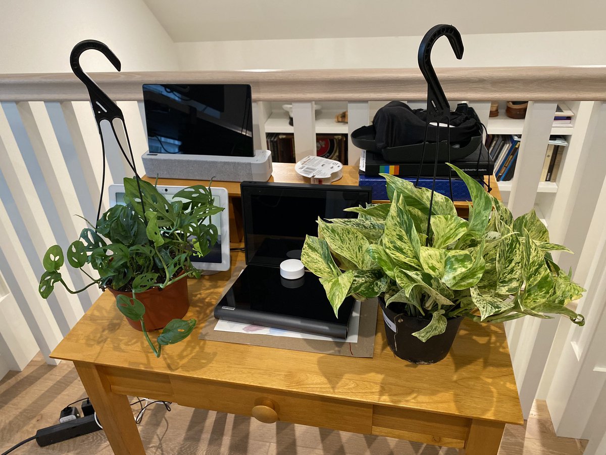 In virtual meetings with <a href="/chatasweetie/">Jessica Dene Earley-Cha</a>, I would always look at the lovely little jungle of plants behind her with envy. I finally started my own jungle. Need to get the 🪝 up  to hang two of them, so you get them sitting on my absurd “table of screens.” Thank you Leafy Palo Alto!