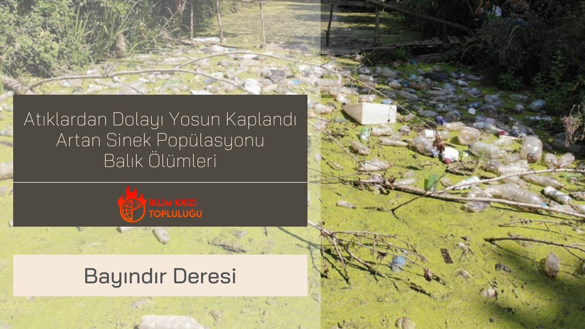 Bayındır Deresi'ndeki kirliliğin bazı sonuçları:
1️⃣Atıklardan dolayı oluşan yosun tabakası
2️⃣Artan sinek popülasyonu
3️⃣Balık ölümleri

Kaynak➡t.ly/Xjtf

#kirlilik #atık #sanayiatığı #evselatık #yosun #iklim #iklimkrizi #iklimkrizitopluluğu #ikt