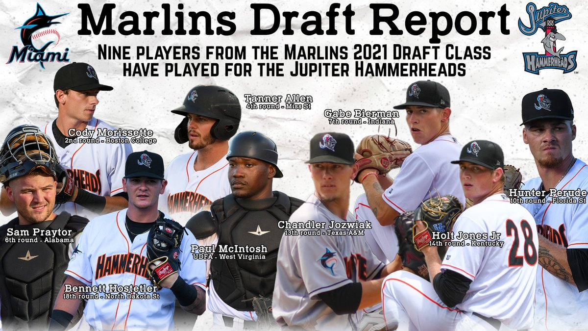 Jupiter Hammerheads tweet media