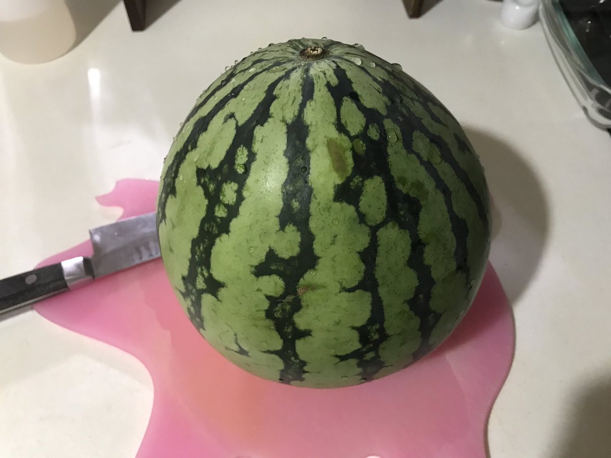 デゴチ A Twitter コンテストのレギュレーションは 食べられるように割ること だったから中身を事前に抜いて無駄なく食べて 中身を水風船に置き換えて再びスイカ 玉にして割ればokだよね ということで 明日このスイカを割ろう