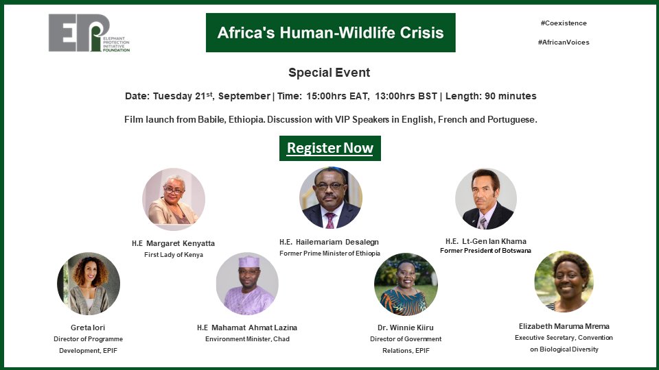 JohnEScanlon's tweet photo. Africa's Human-Wildlife Crisis Special Event. @EPIAfrica invites you to join us for a short film on the urgent situation in the Babile #Elephant Sanctuary, #Ethiopia, followed by a pan-#African high-level discussion on human-elephant conflict #HEC
Register https://t.co/dDe5dY53eO https://t.co/kY46QuNzvc