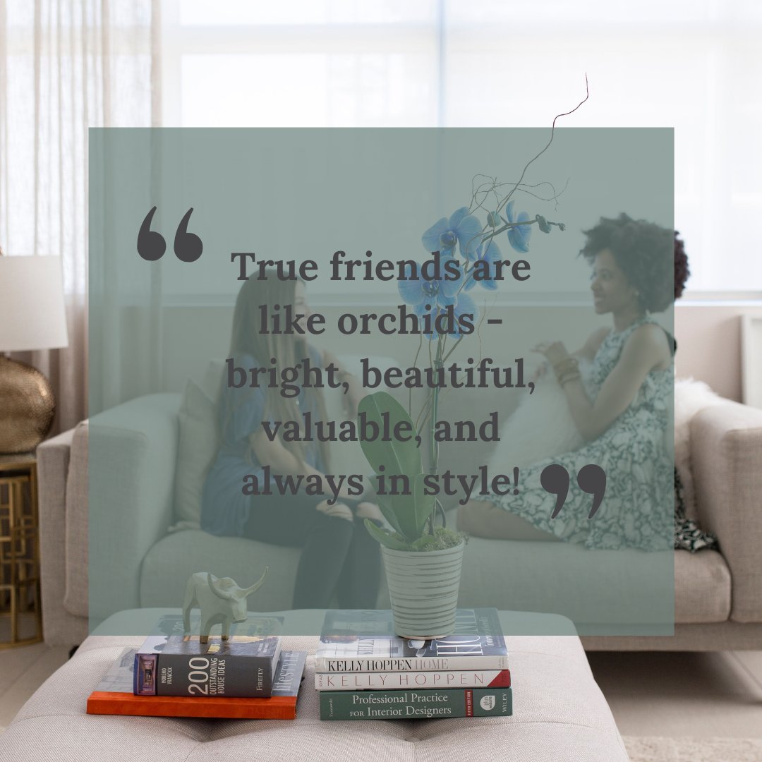 #orchidlover #orchidcollection